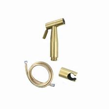 Zaffiro 403-BG SUS304 Bidet Spray Set